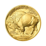1 oz US Mint Gold Coin Mixed Years front