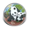 30 gram Silver Panda 2024 Coloured Coin front